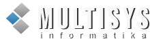 Multisys - Informatika